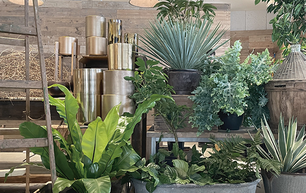 ラストまで勤務できる方！garage SHIBUYA グリーン・インテリア販売スタッフ