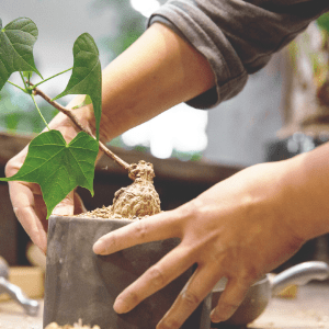 garage TOKYO　グリーン販売スタッフ募集