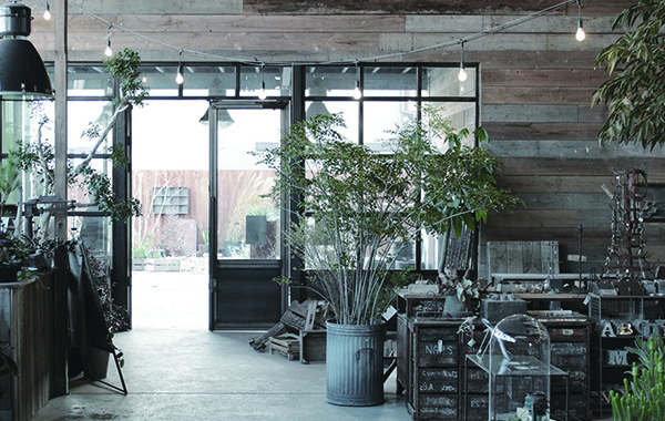 DXディレクター募集