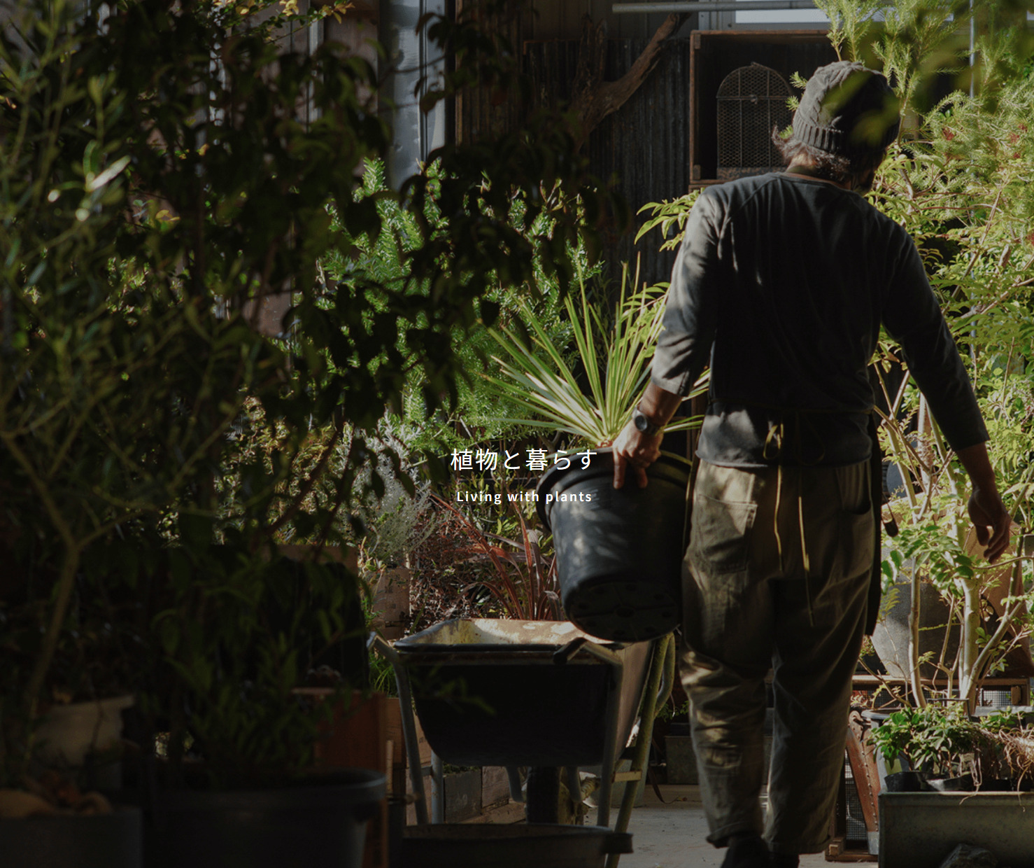 採用サイトオープン！