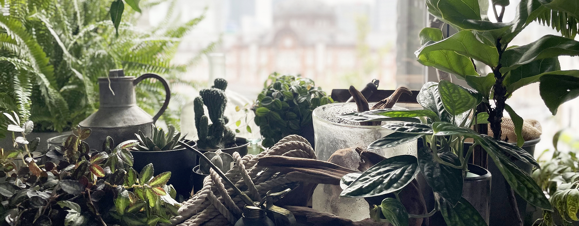 ラストまで勤務できる方！garage TOKYO グリーン・インテリア販売スタッフ募集