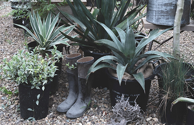 garage YOKOHAMA　ガーデンスタッフ募集