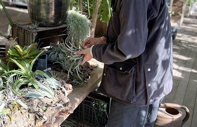 ラストまで勤務できる方！garage TOKYO グリーン・インテリア販売スタッフ募集