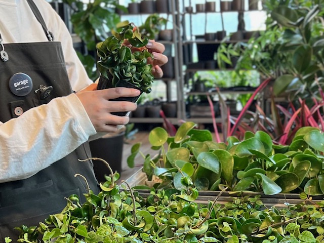 garage TOKYO　グリーン販売スタッフ募集