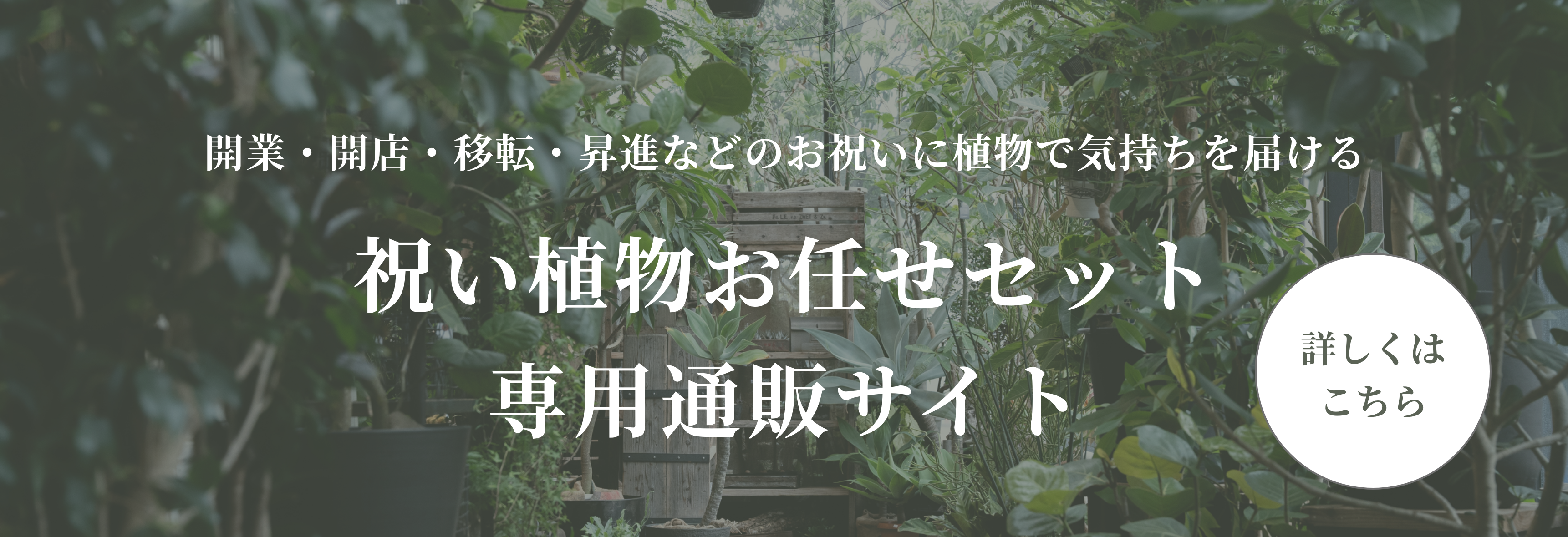 GARAGE GARDEN 公式サイト