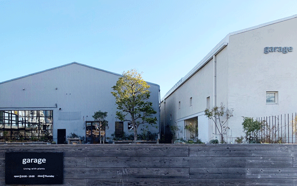 豊橋店限定 SALE 開催中