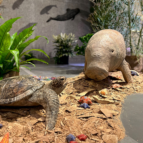 はしもとみお 木彫展