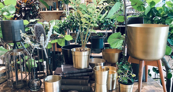 STAFF INTERVIEW  VOL.2