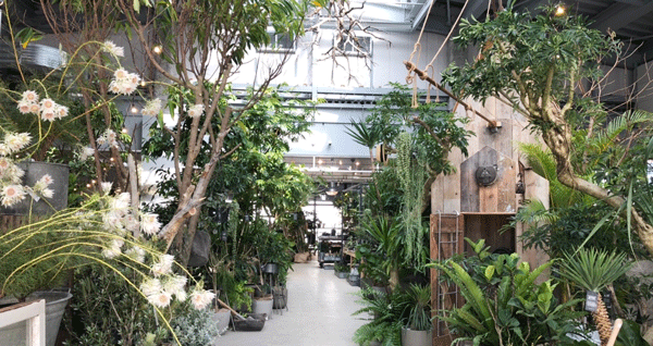 STAFF INTERVIEW  VOL.3