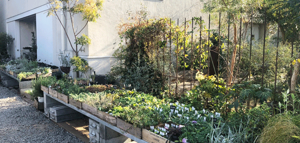 STAFF INTERVIEW  VOL.4