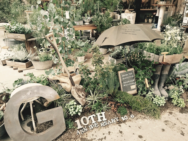 STAFF INTERVIEW  VOL.6