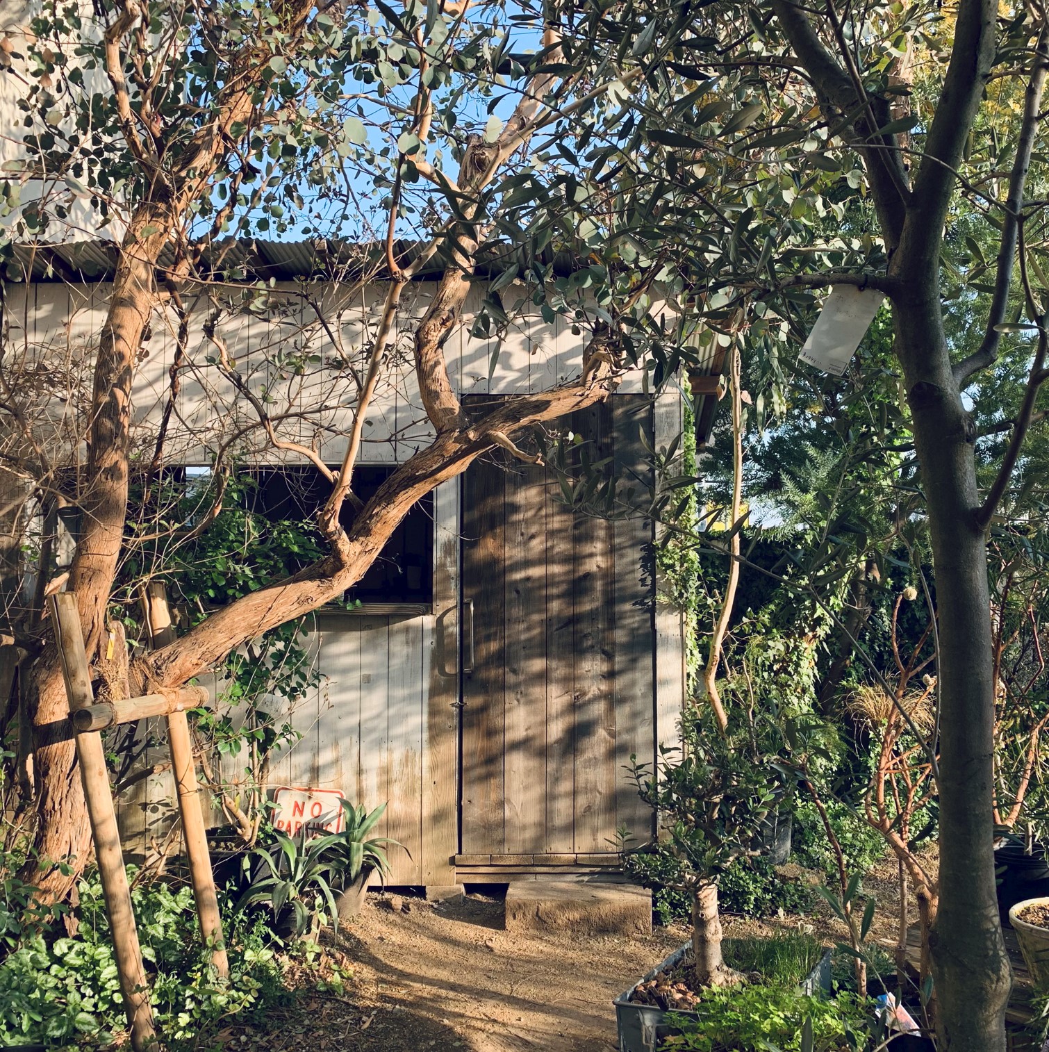 STAFF INTERVIEW  VOL.8