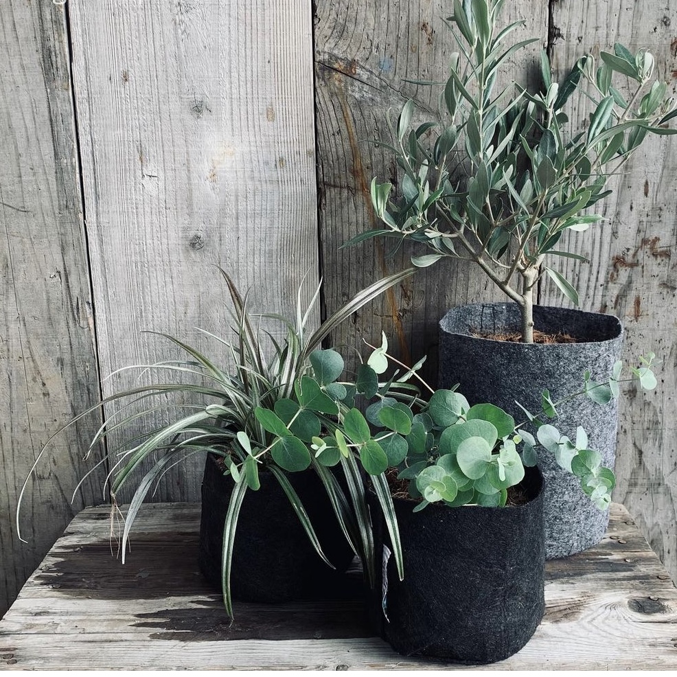 STAFFのおすすめ VOL.5