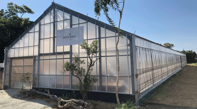 Hata Raku 通信 VOL.1