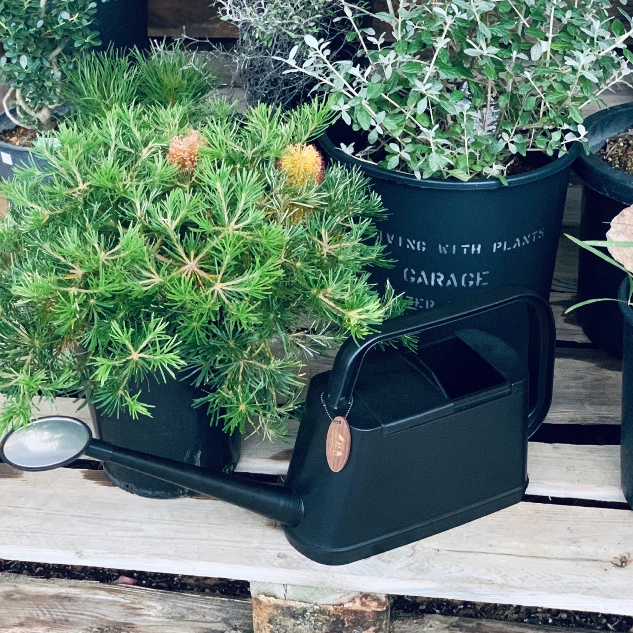 STAFFのおすすめ VOL.1