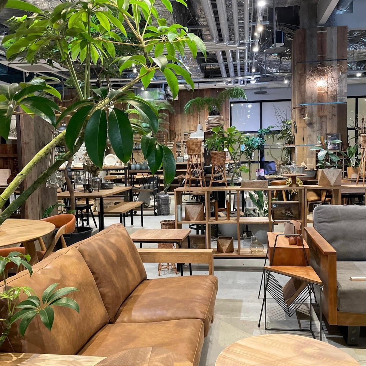 名古屋店 リニューアル