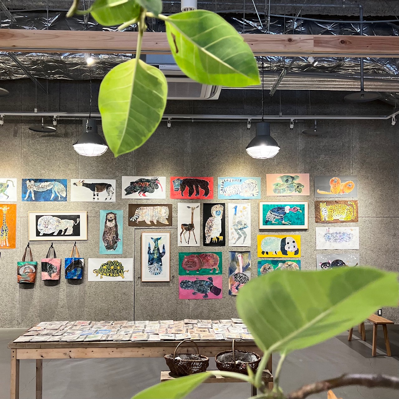 坪井香保里 個展