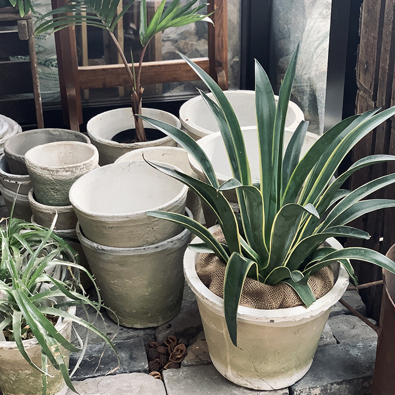 STAFFのおすすめ VOL.9