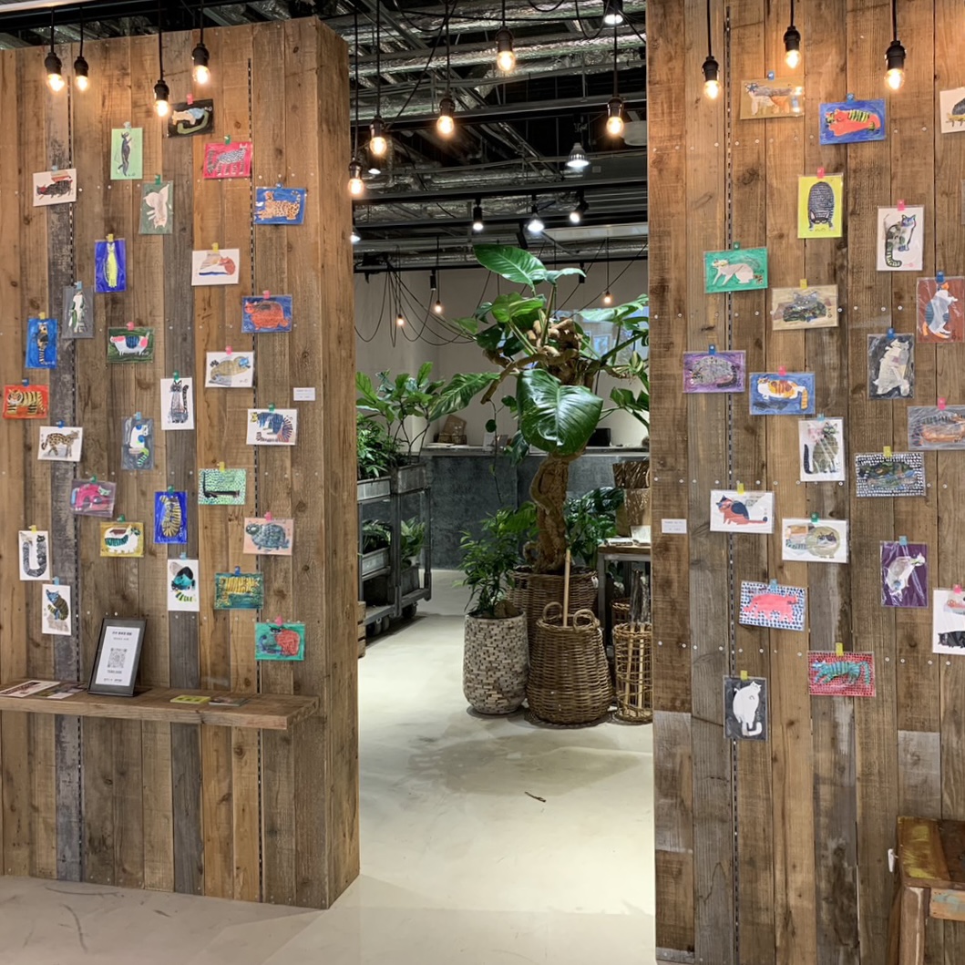 坪井香保里 展覧会