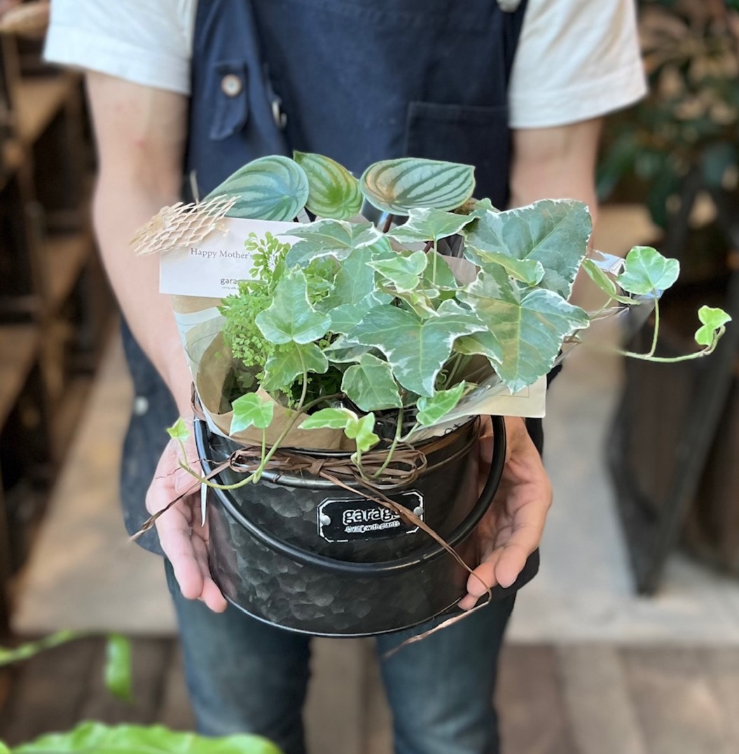 STAFFのおはなし VOL.1