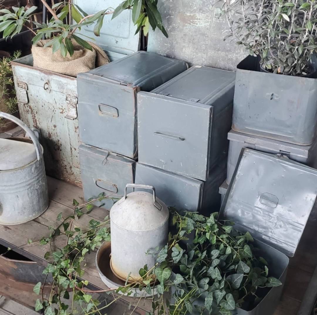 STAFFのおすすめ VOL.15