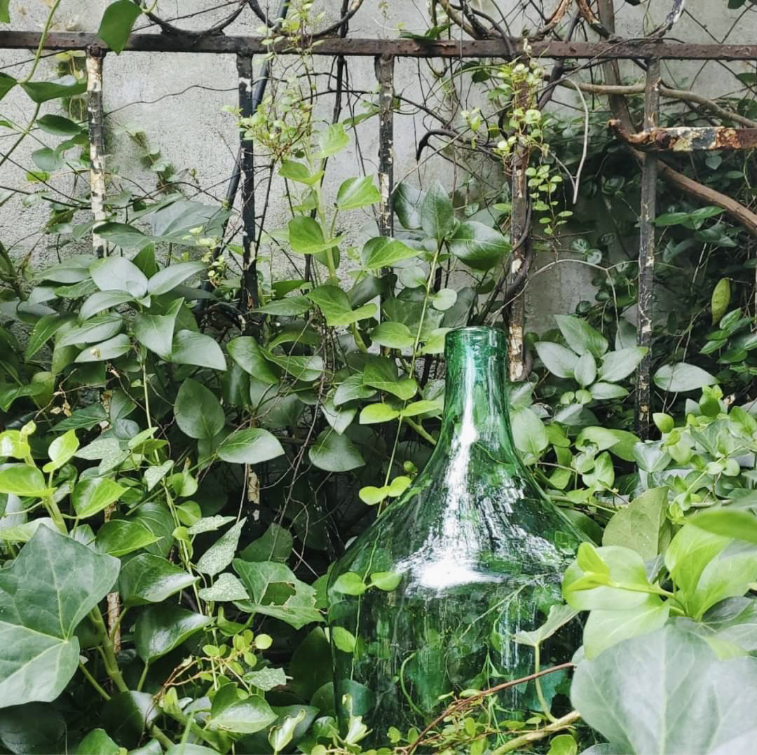 STAFFのおすすめ VOL.7