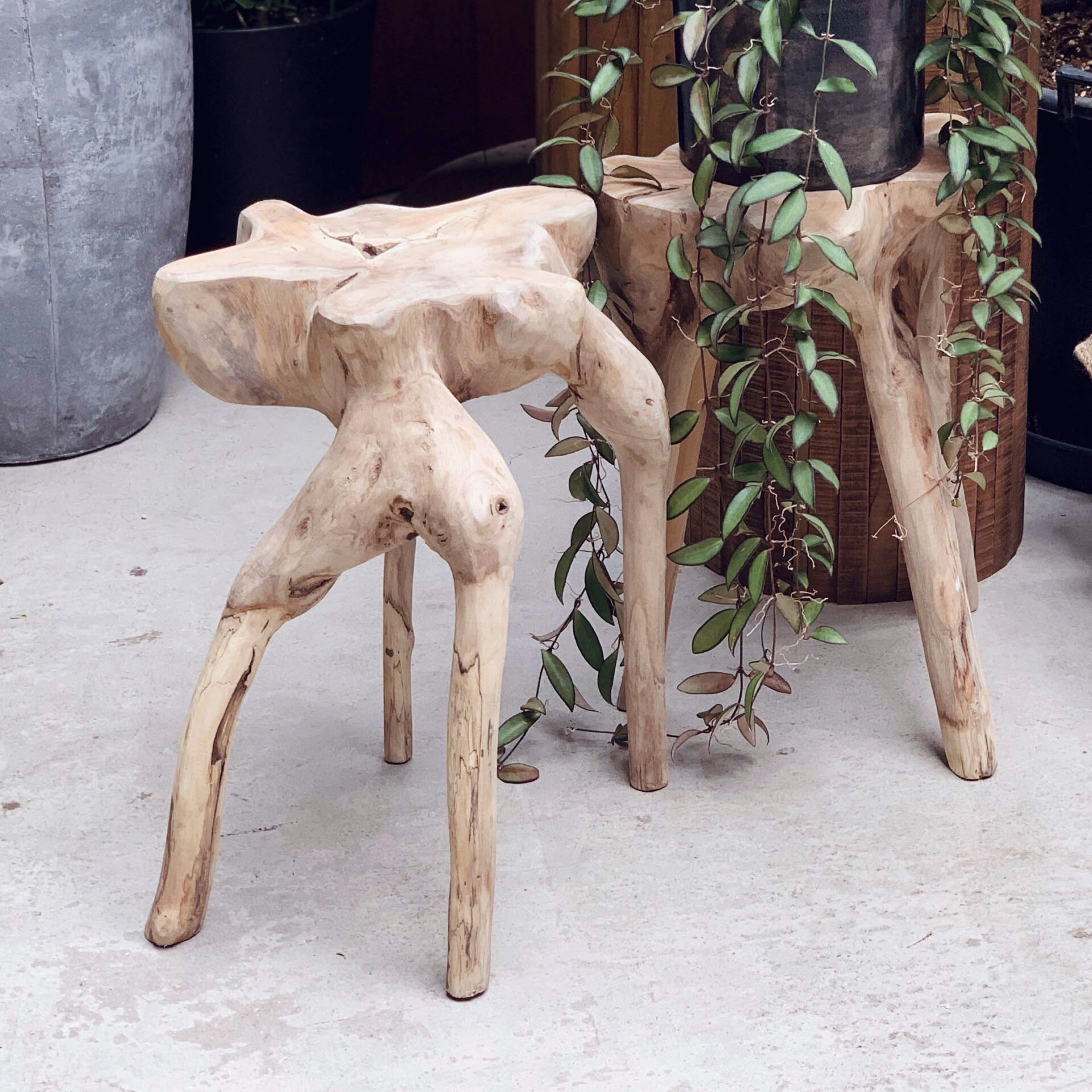 STAFFのおすすめ VOL.13