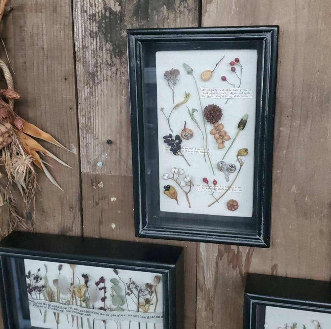 STAFFのおすすめ VOL.12