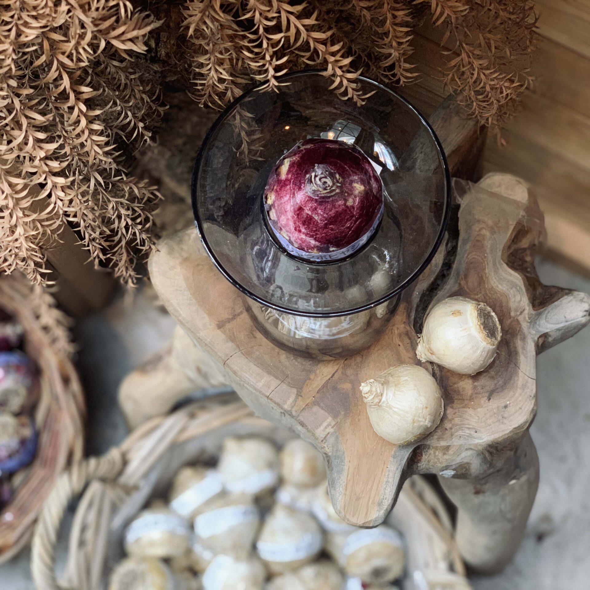 植物のおはなし VOL.1