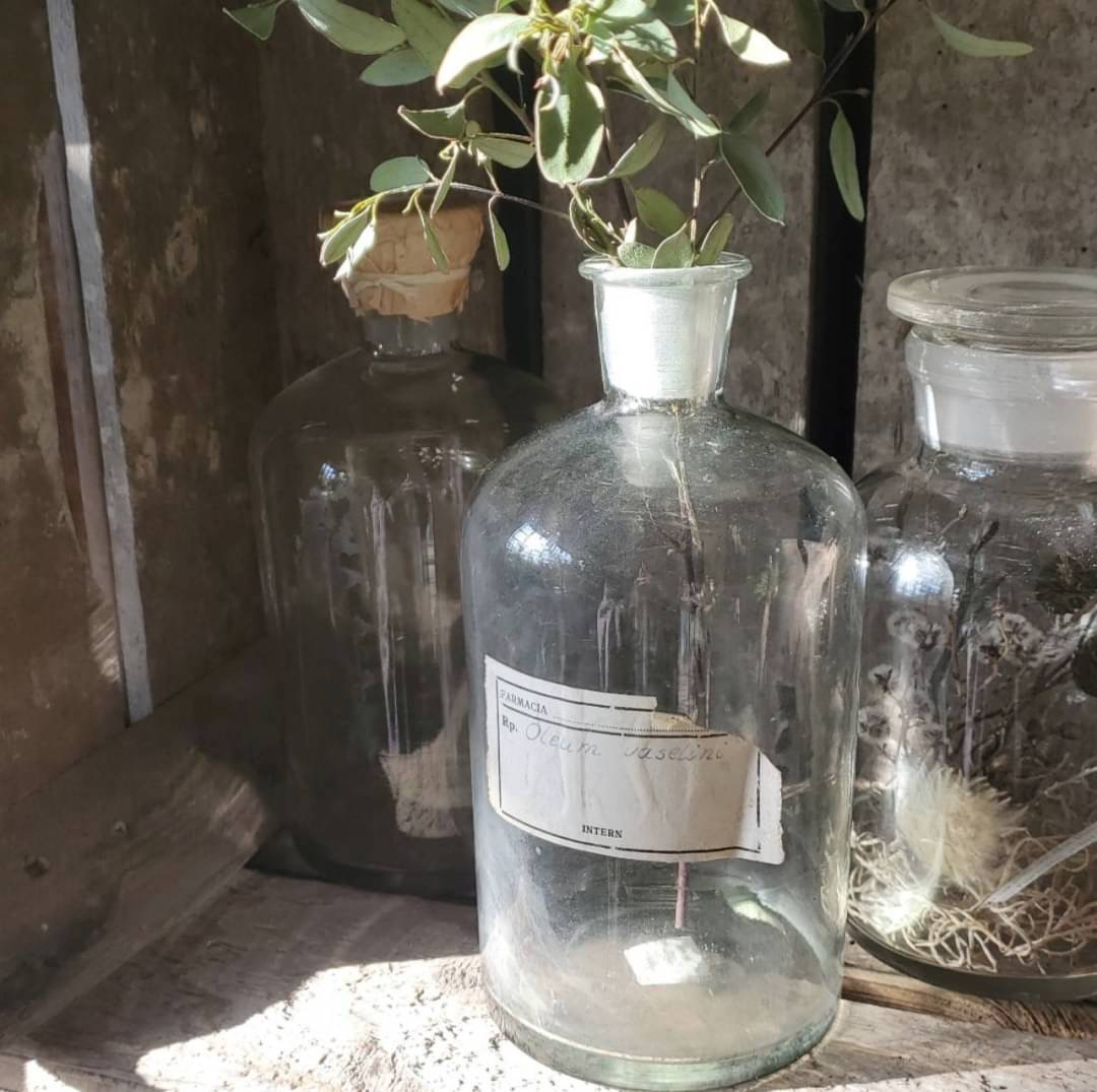 STAFFのおすすめ VOL.10