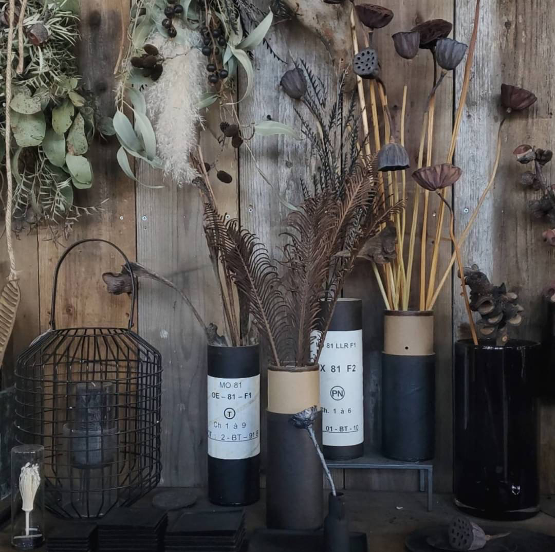 STAFFのおすすめ VOL.11