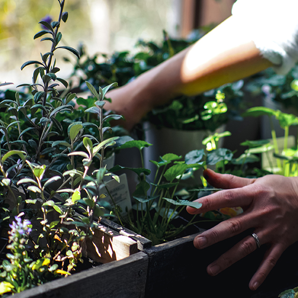 STAFFのおはなし VOL.2