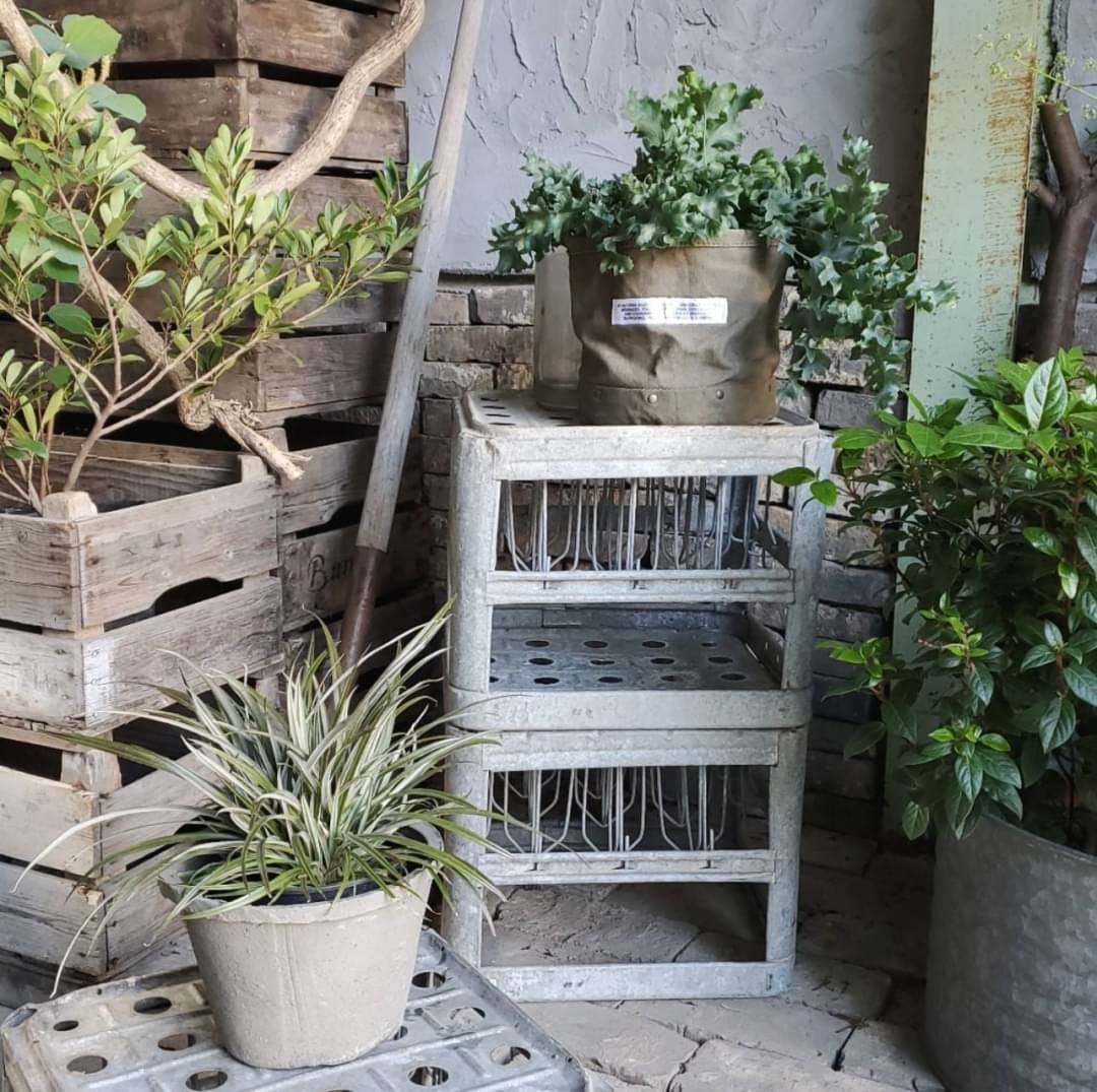 STAFFのおすすめ VOL.17