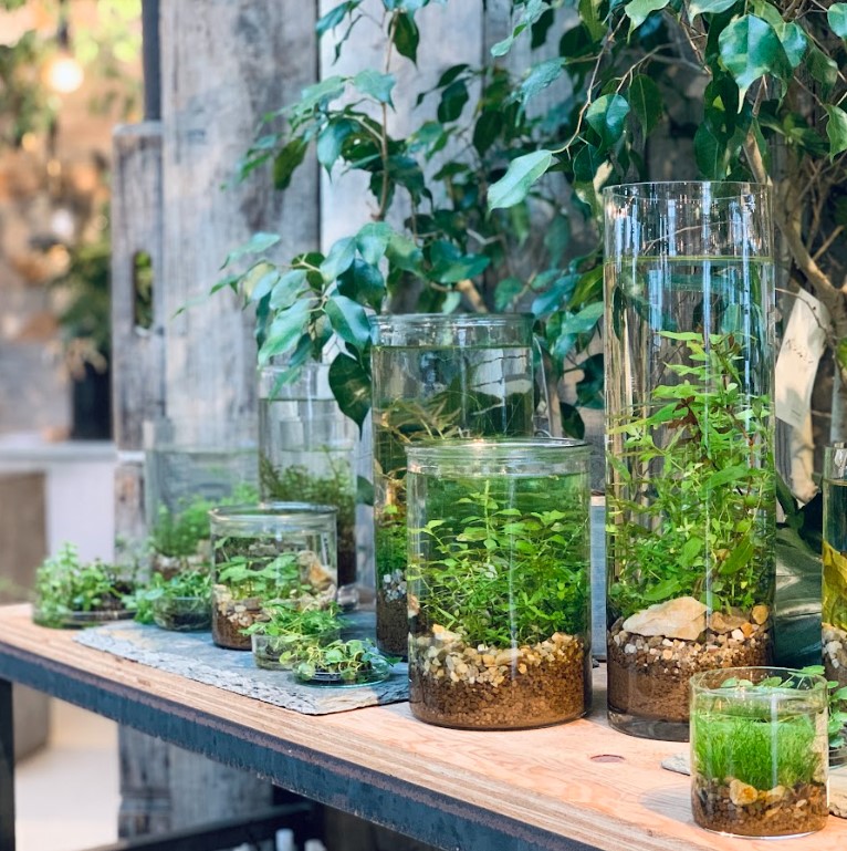 植物のおはなし VOL.7