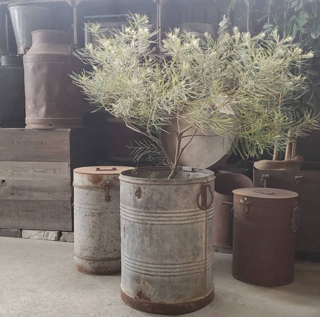 STAFFのおすすめ VOL.18