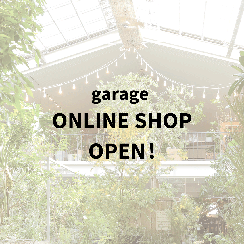 ONLINE SHOP OPEN！