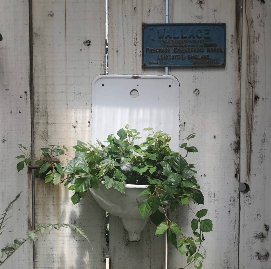 STAFFのおすすめ VOL.19