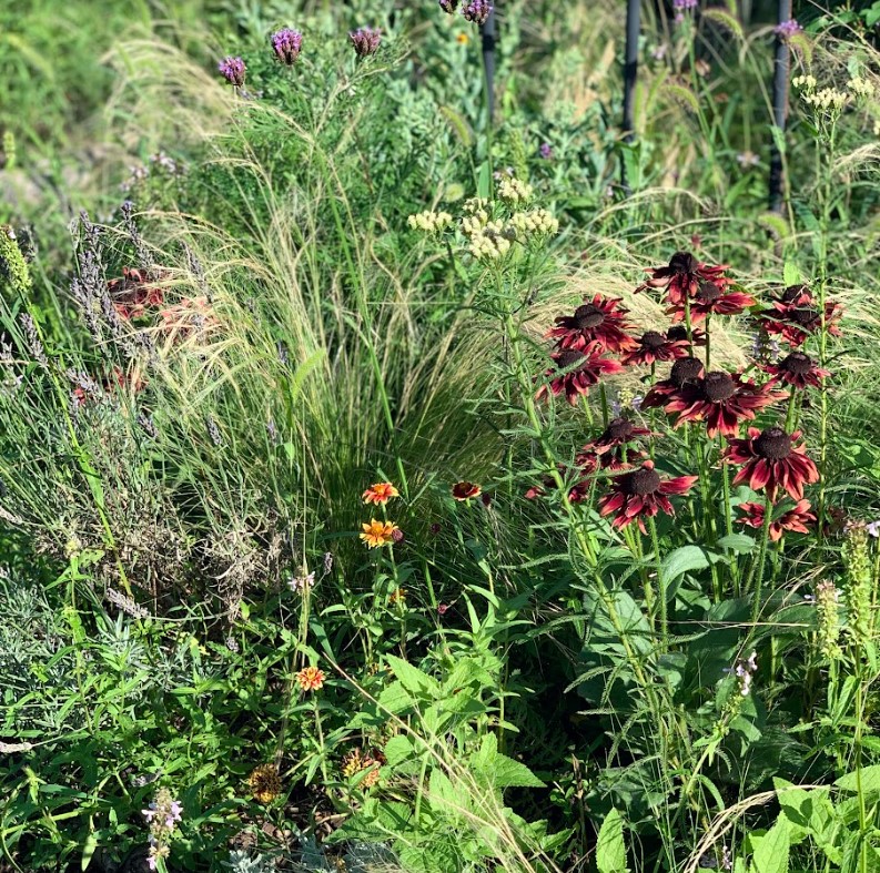 STAFFのおはなし VOL.3