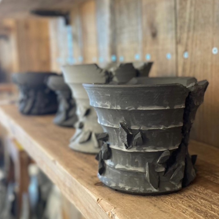 作家の鉢×アガベ　POP UP