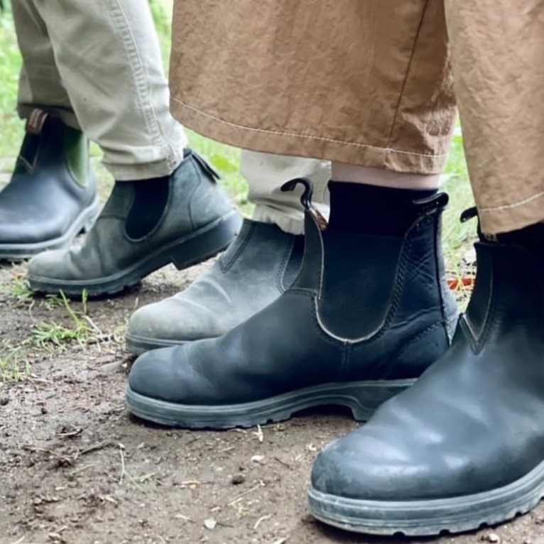 STAFFのおすすめVOL.20