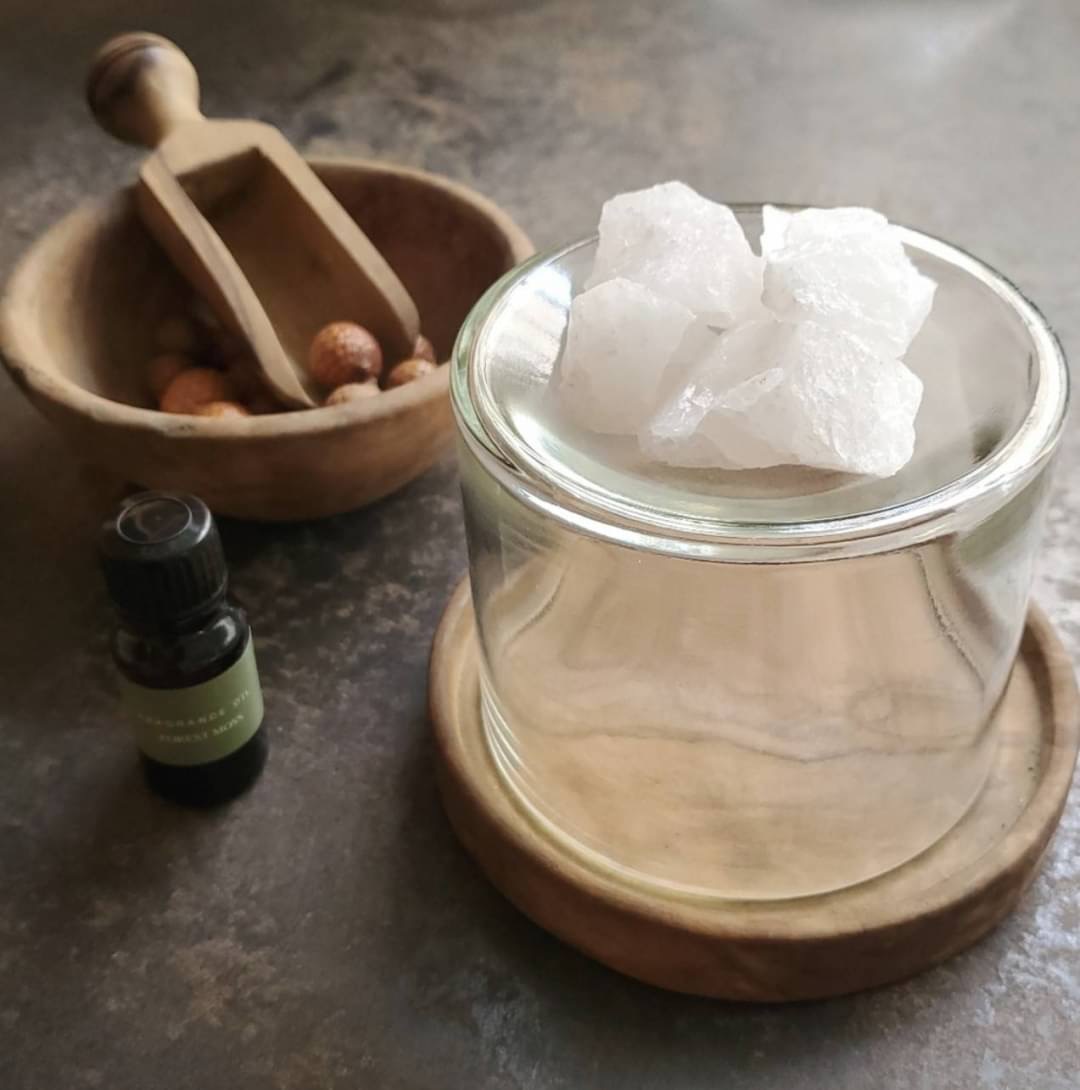 STAFFのおすすめ VOL.21