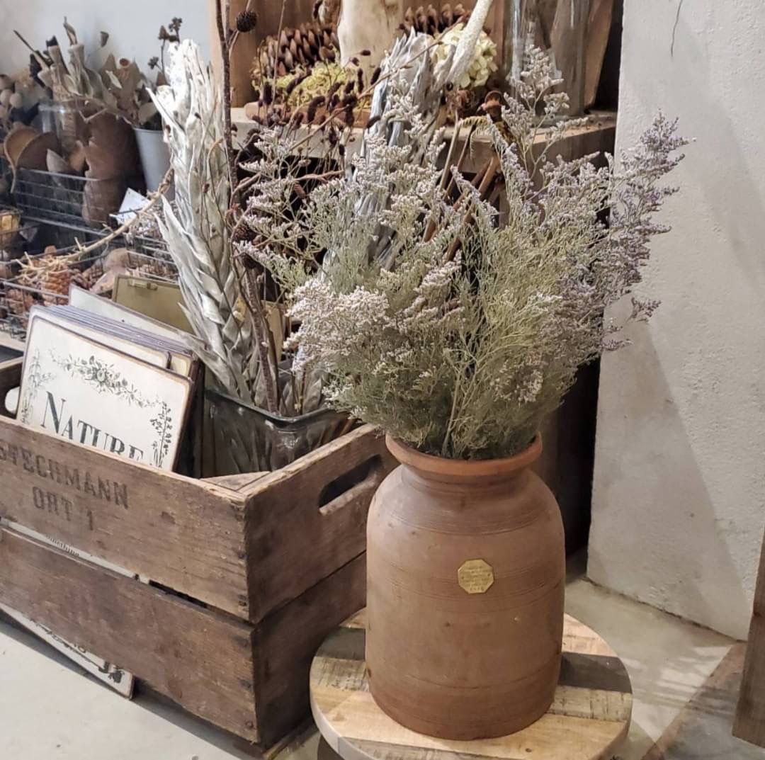 STAFFのおすすめVOL.22