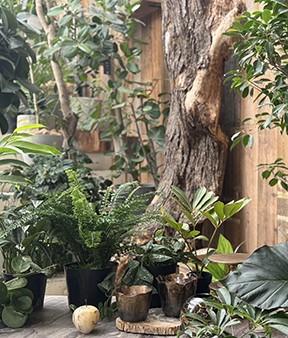 garage OSAKA　2025.11.15 OPEN