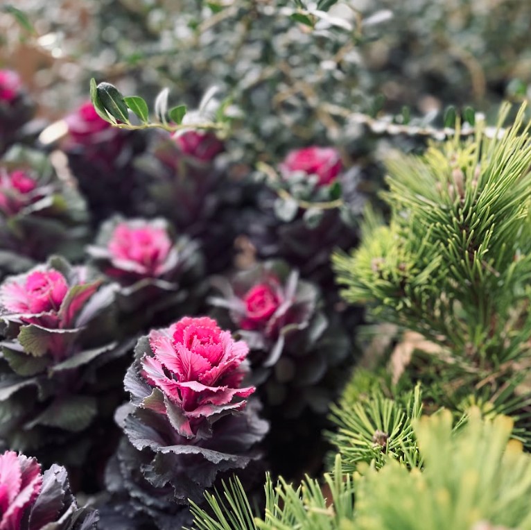 STAFFのおはなしVOL.4