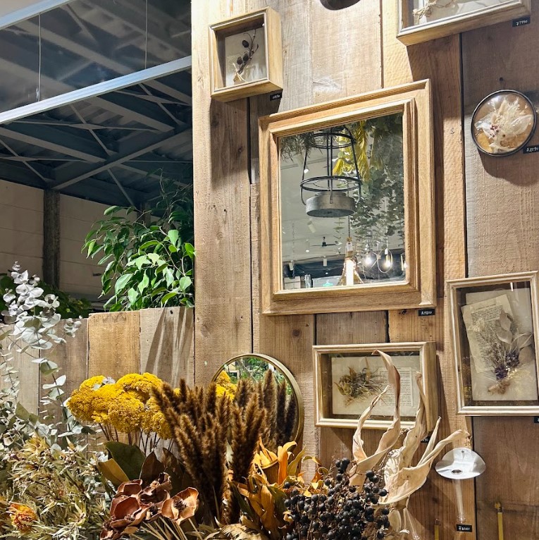 STAFFのおすすめ VOL.27