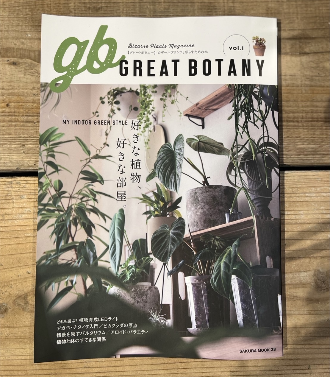 雑誌掲載情報