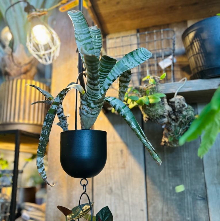 植物のおはなしVOL.21