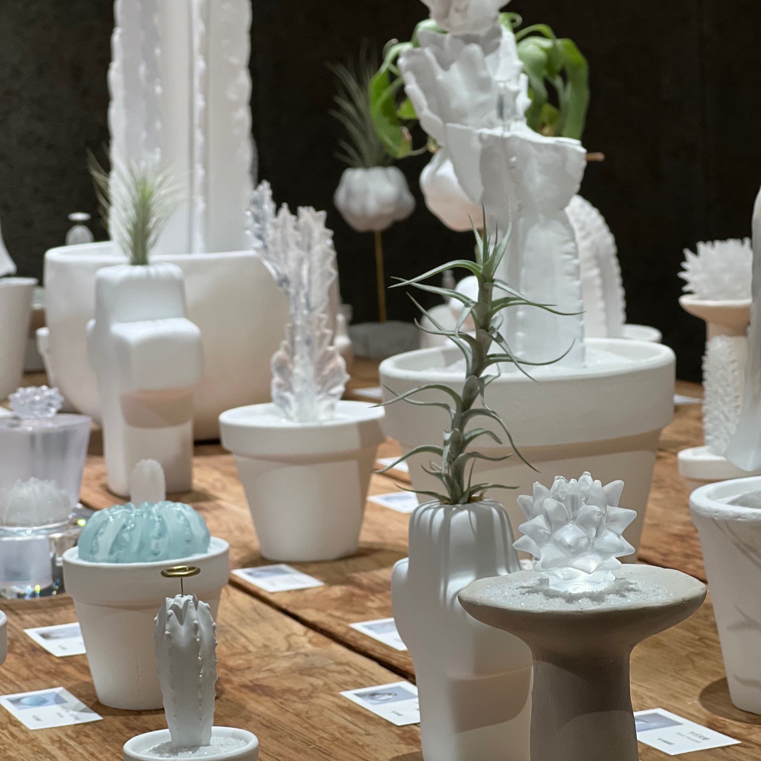 3人展『真冬の植物店』