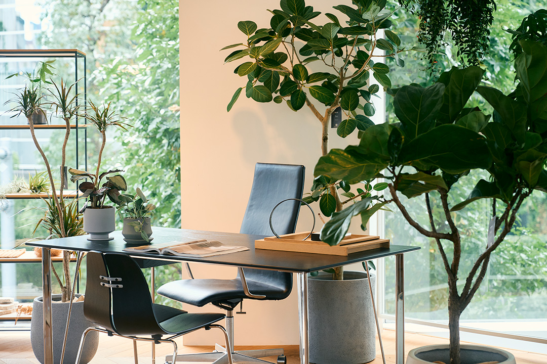 FRITZ HANSEN TOKYO×garage